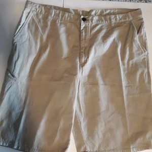 Dickies Loose Fit Shorts